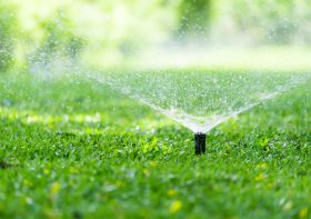 Irrigation Innovators Service That Sets the Standard